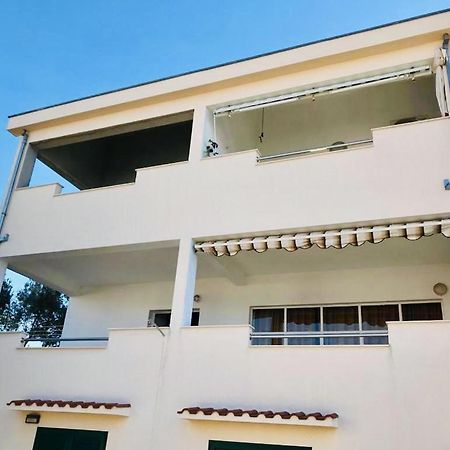 Apartman Mijic 特罗吉尔 外观 照片